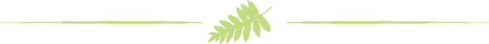Koolau Ballrooms Leaf Design1 Koolau Ballrooms Leaf Design hawaii event venue