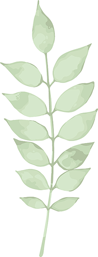 Koolau Ballrooms Leaf2 Koolau Ballrooms Leaf weddings