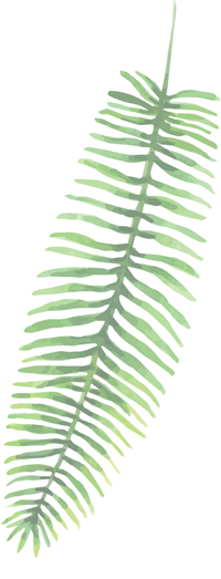 Koolau Ballrooms Leaf3 Koolau Ballrooms Leaf weddings